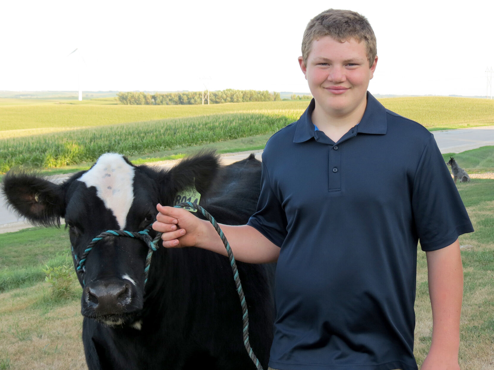 charity steer show von glaln 20-08-23s